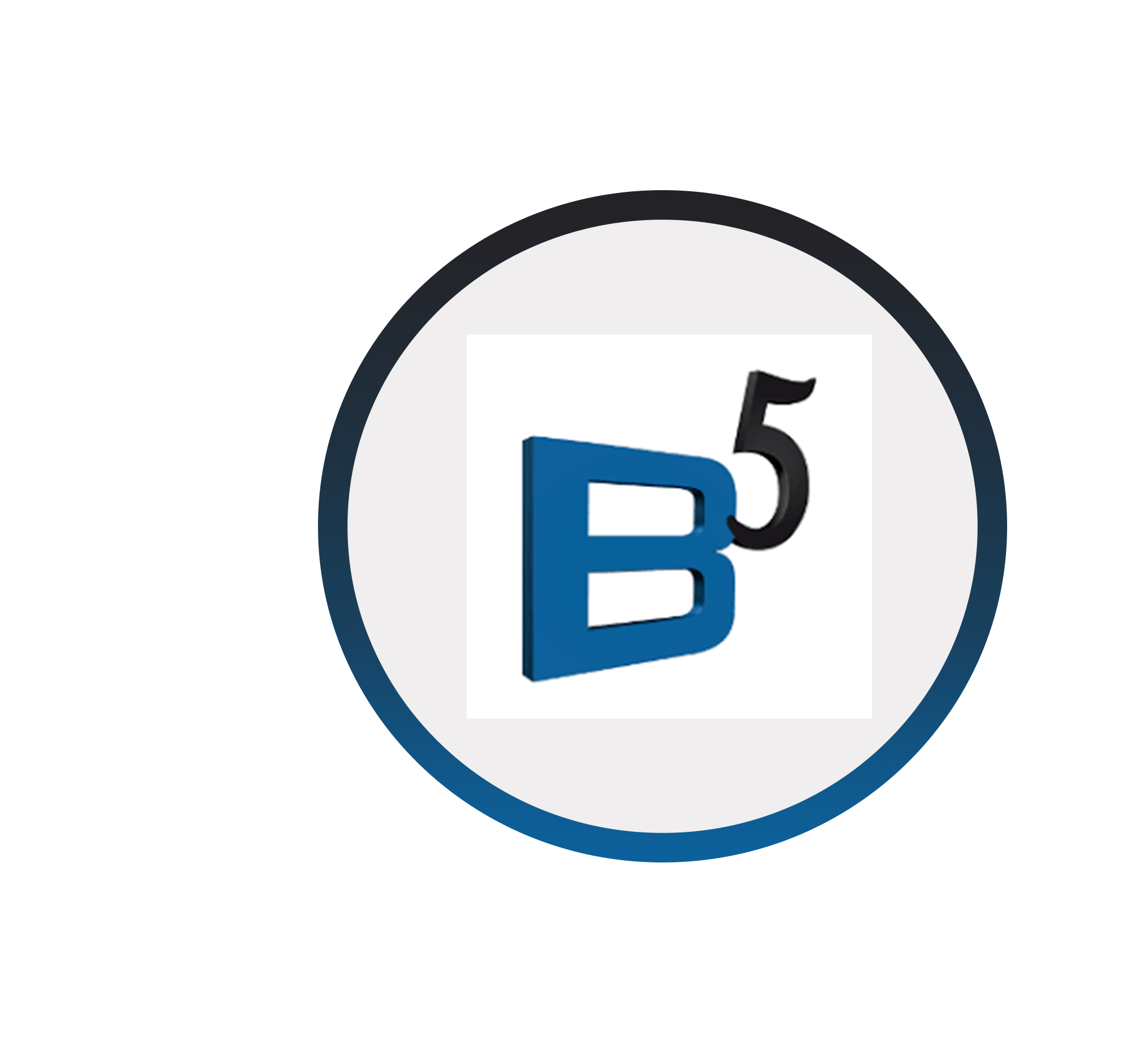 Blu5 Group Logo